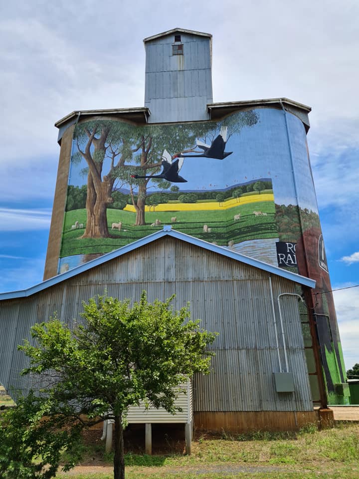 Dunedoo Silo Art, Australian Silo Art Trail
