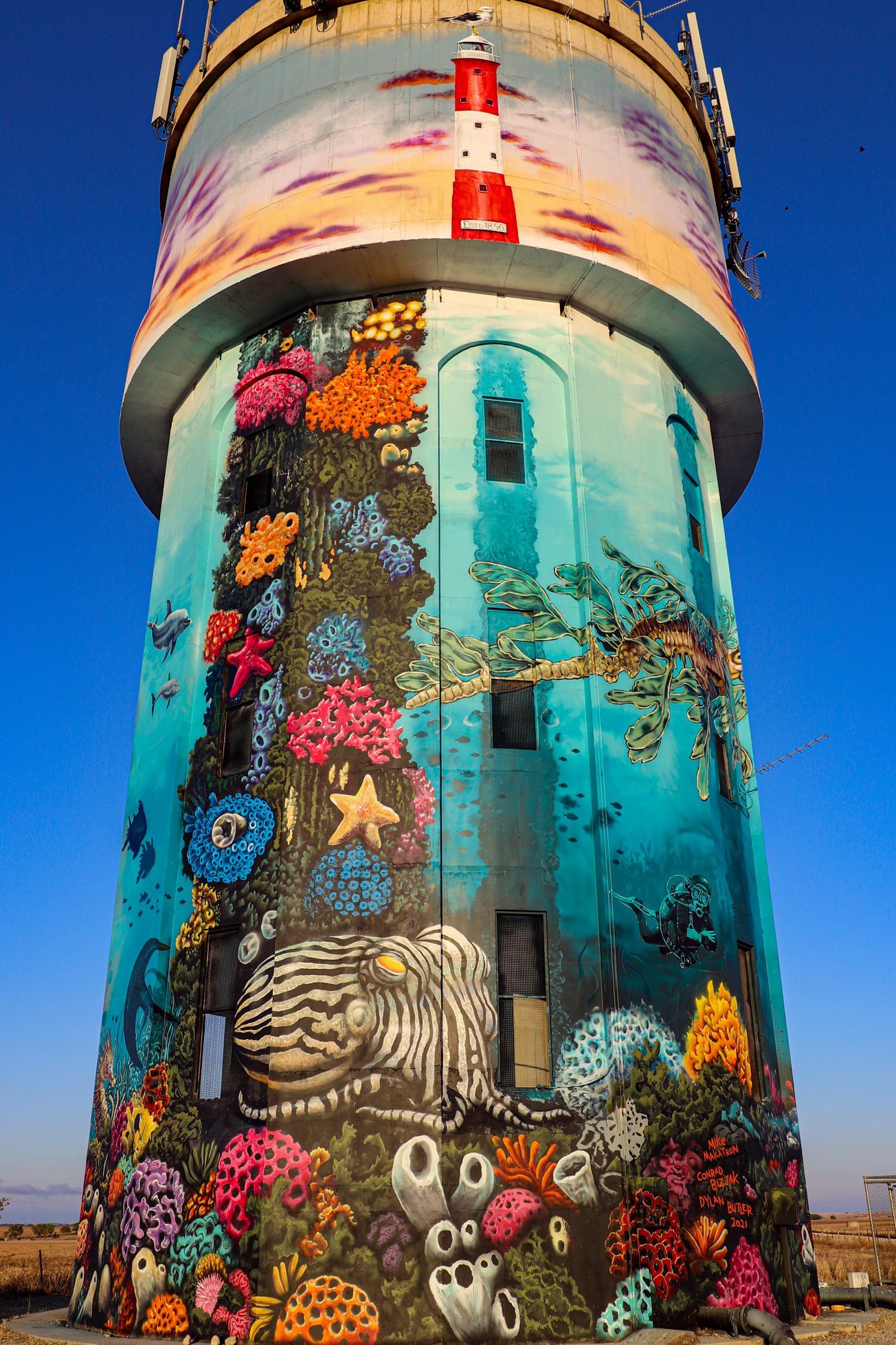 Edithburgh Water Tower Art, Australian Silo Art Trail