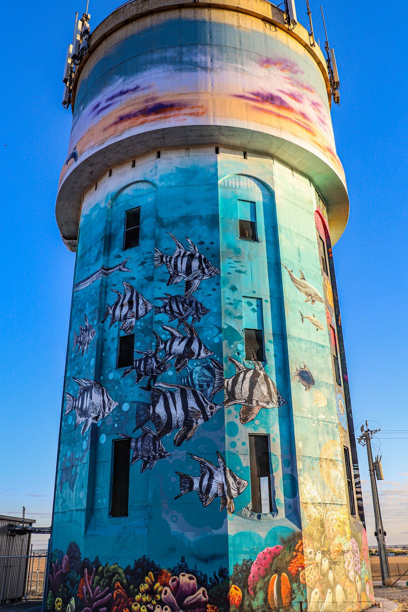 Edithburgh Water Tower, Australian Silo Art Trail