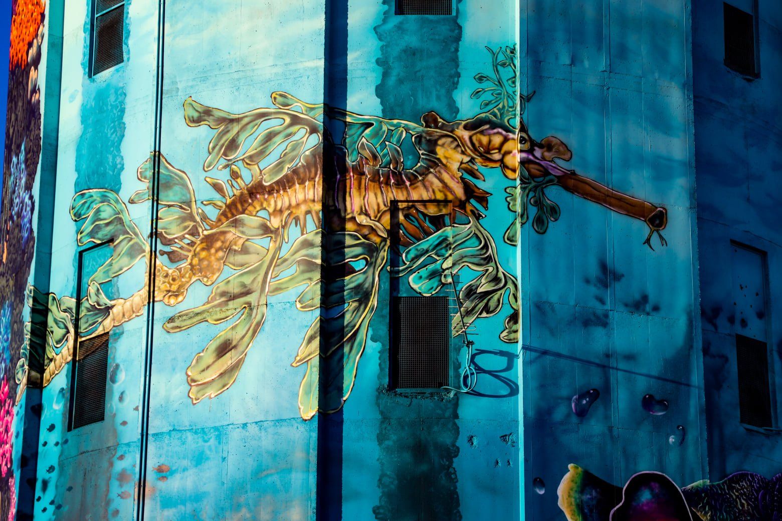 Edithburgh Water Tower Art, Australian Silo Art Trail