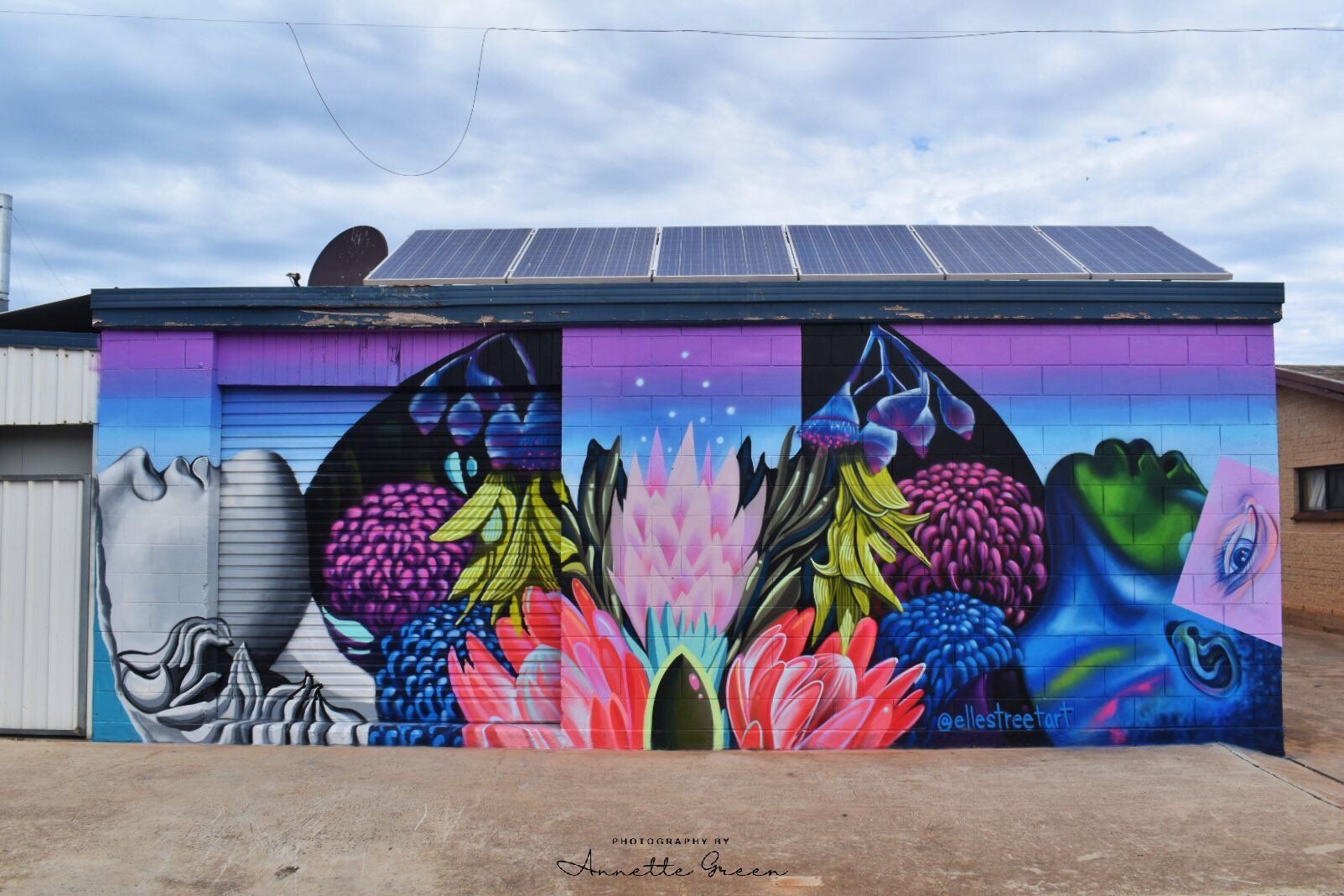 Colour Tumby Bay Street Art Festival