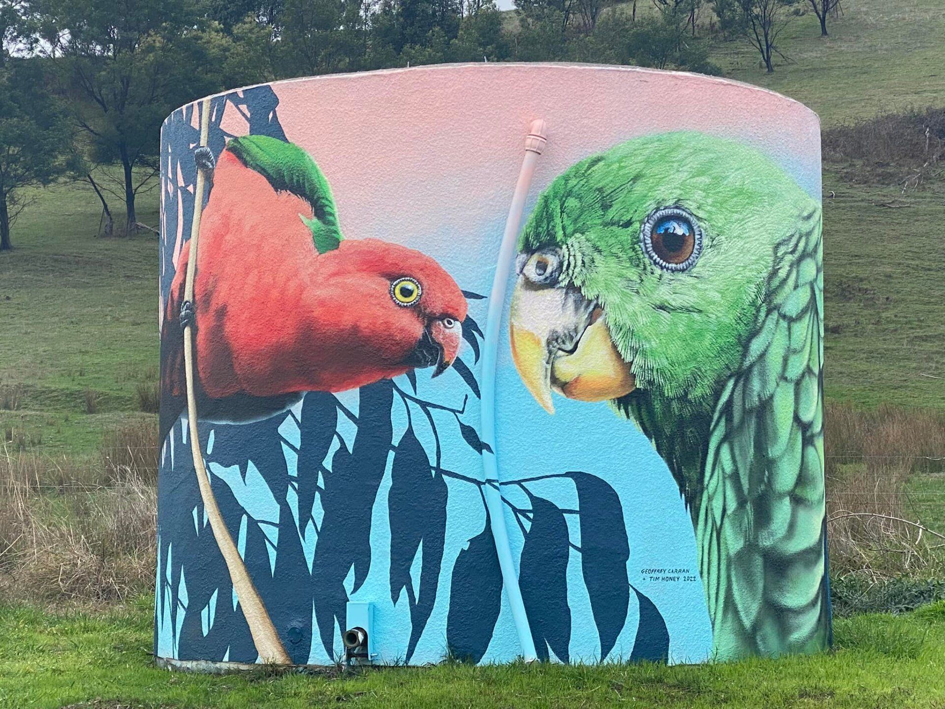 Flowerdale Water Tank Art, Australian Silo Art Trai