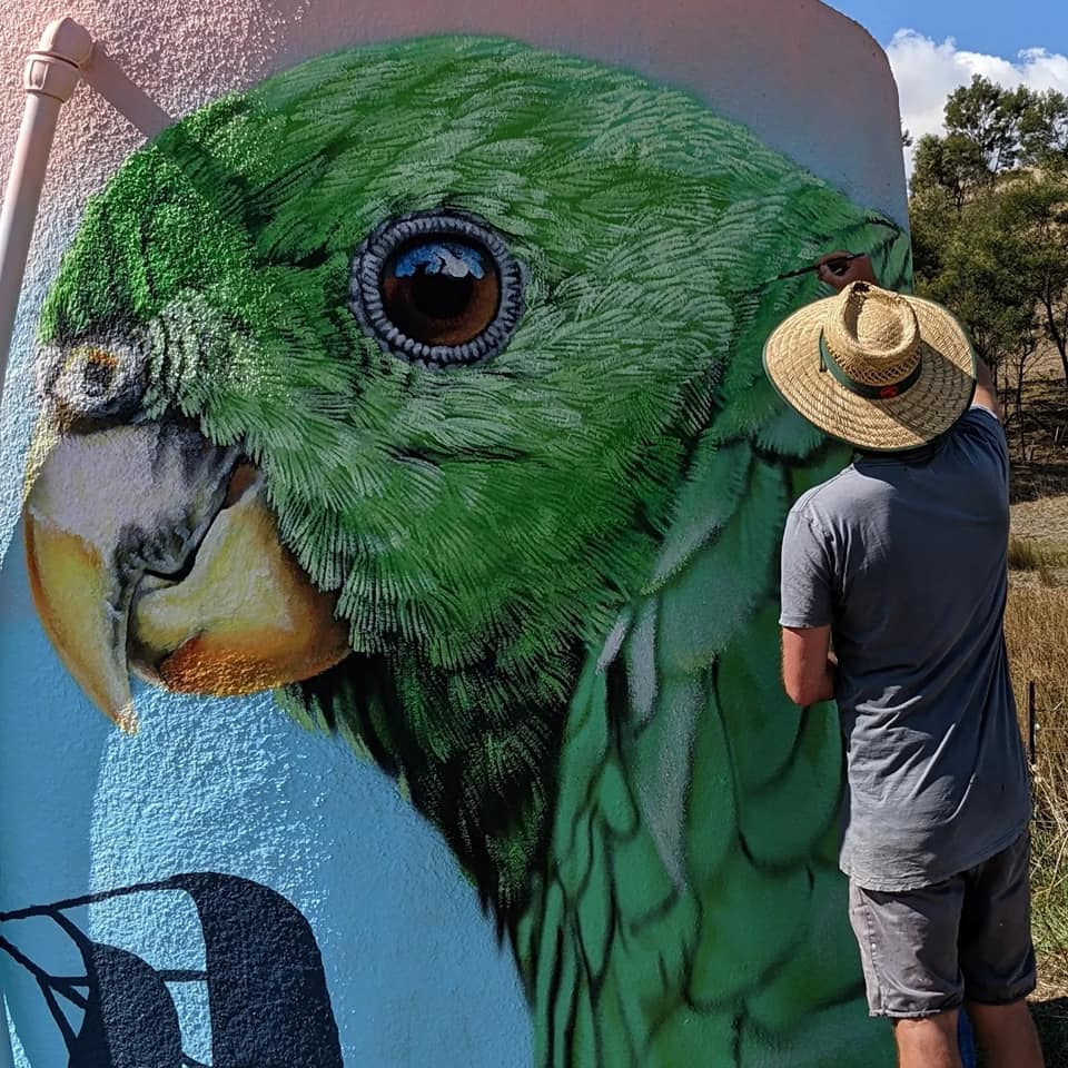 Flowerdale Water Tank Art, Australian Silo Art Trai