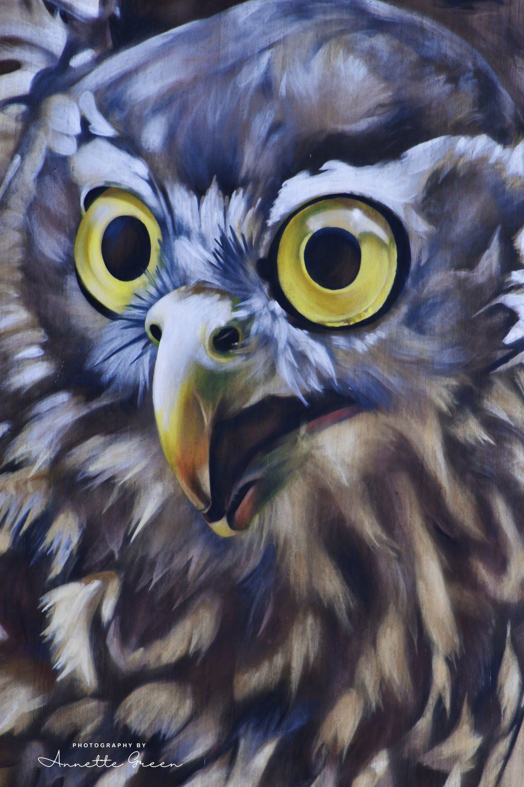 Goorambat Silo Art, Australian Silo Art Trail, Jimmy Dvate