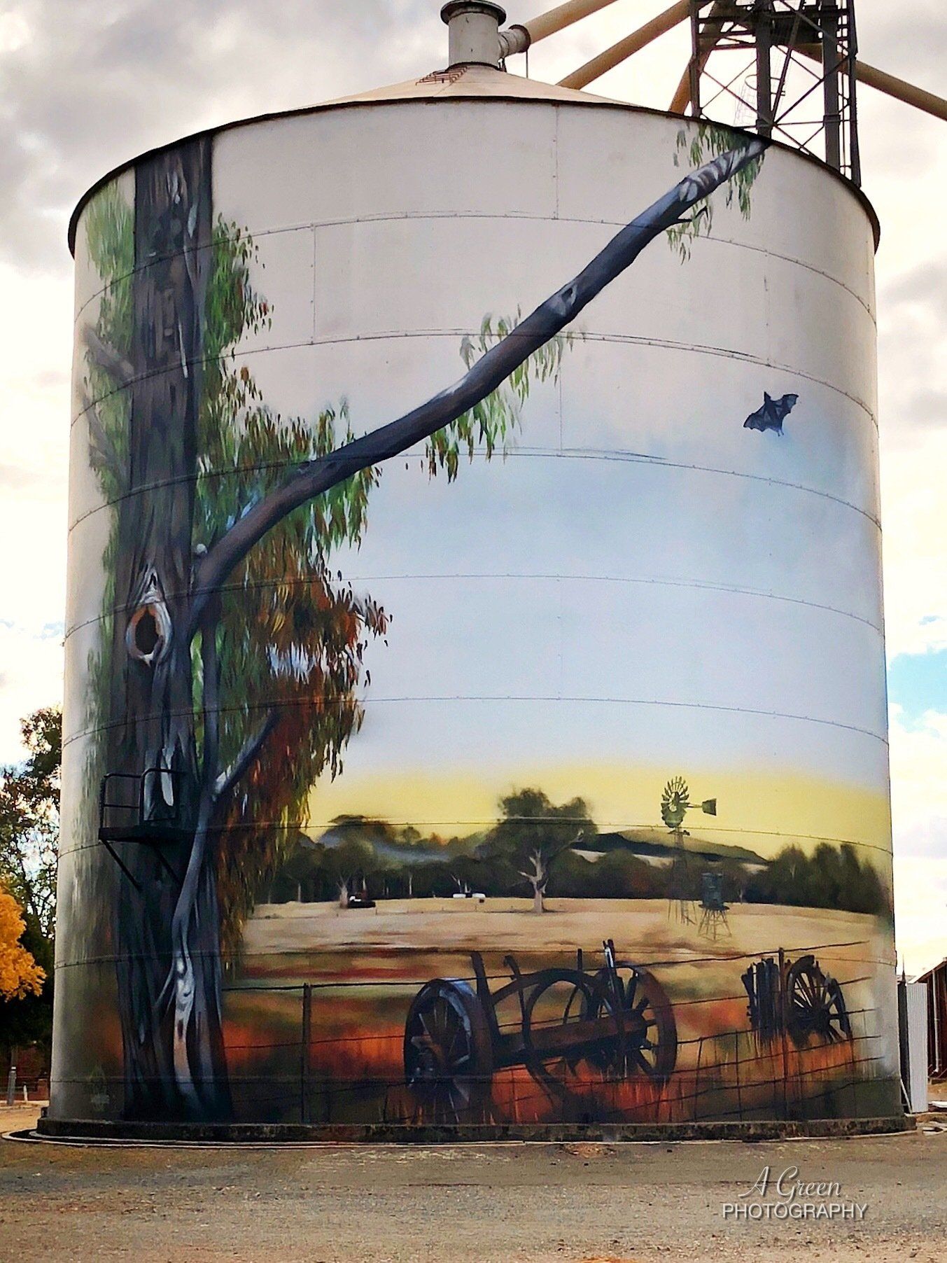 Goorambat Silo Art, Australian Silo Art Trail, Jimmy Dvate