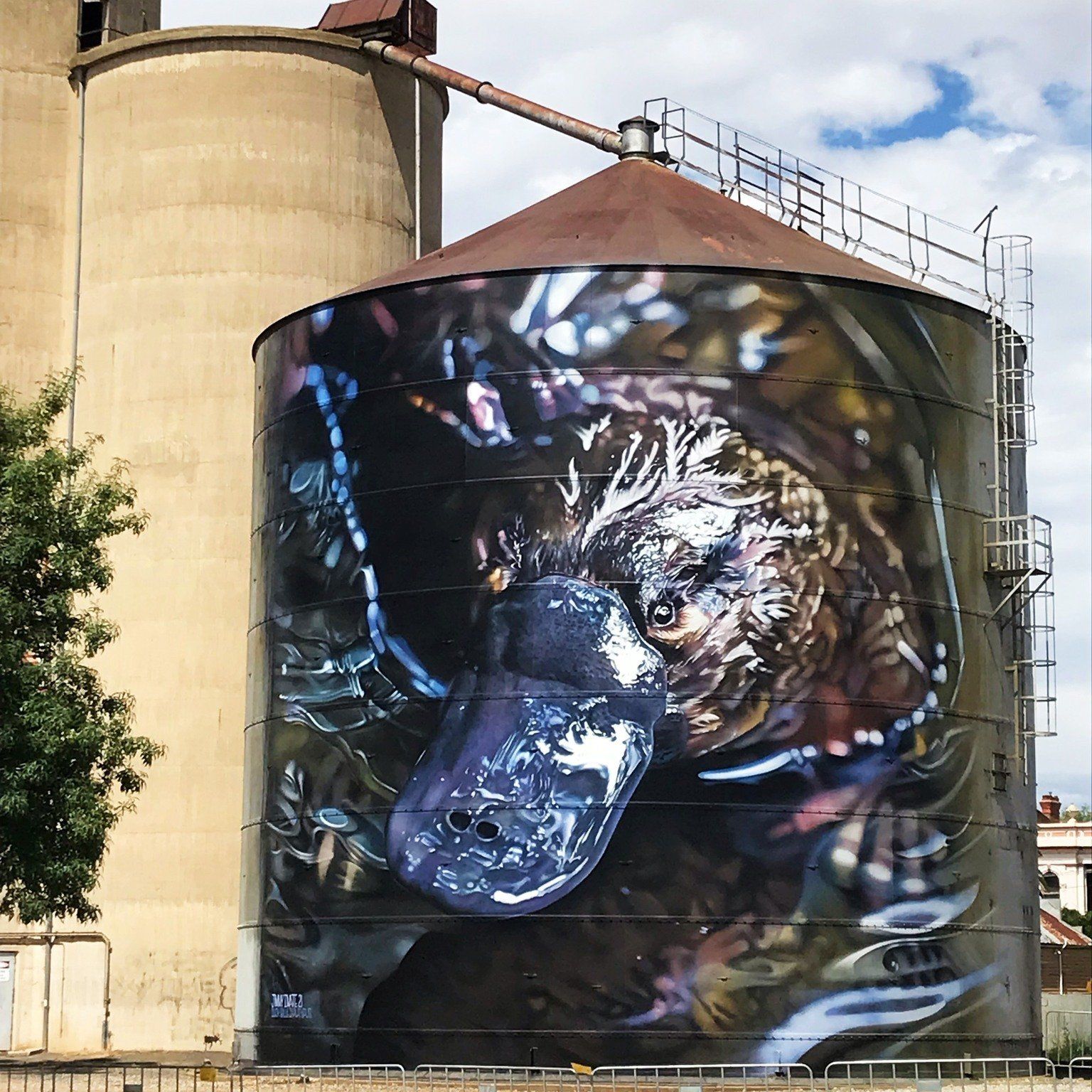 GrainCorp Silo at Rochester, Australian Silo Art trail
