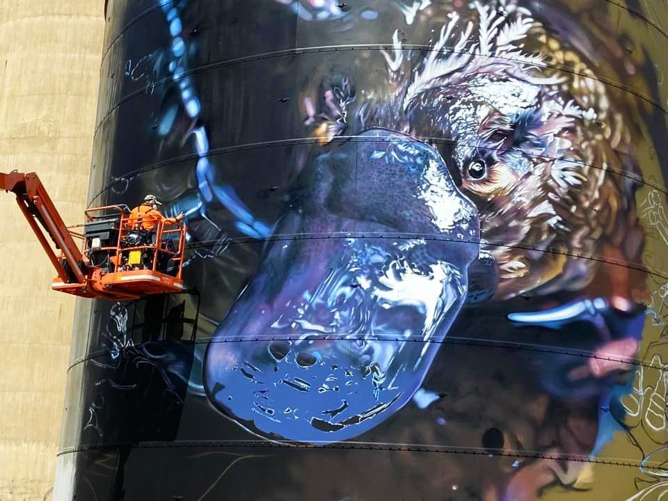 GrainCorp Silo at Rochester, Australian Silo Art trail