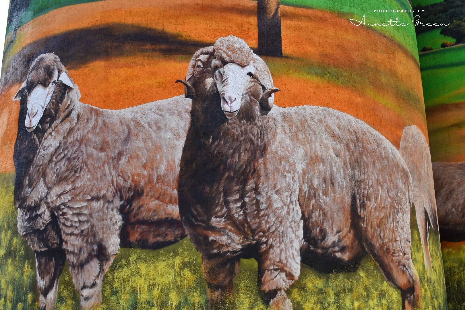 Grenfell Silo Art, Australian Silo Art Trail, Heesco Khosnaran