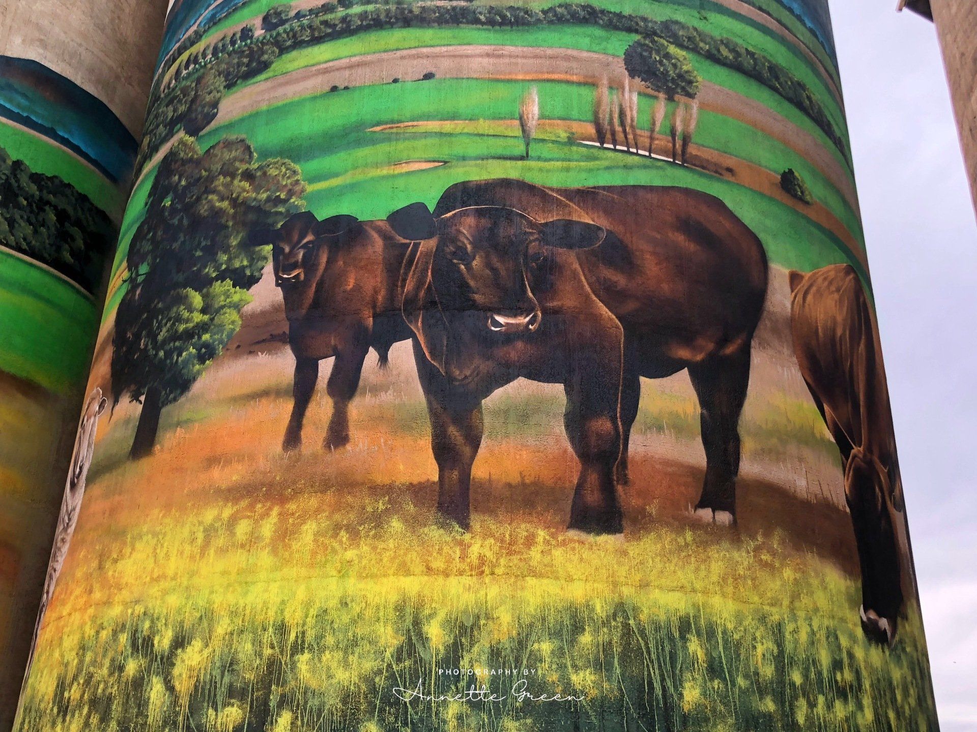 Grenfell Silo Art, Australian Silo Art Trail, Heesco Khosnaran