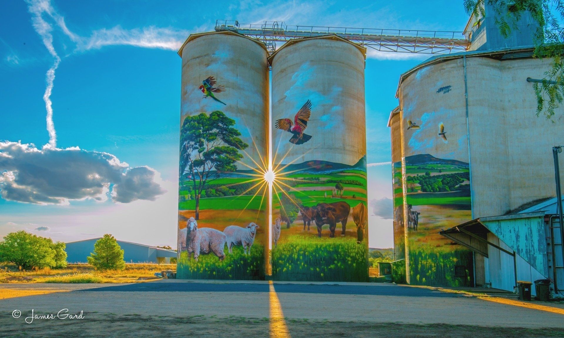 Grenfell Silos in New South Wales by Heesco Khosnaran. Photo by James Gard