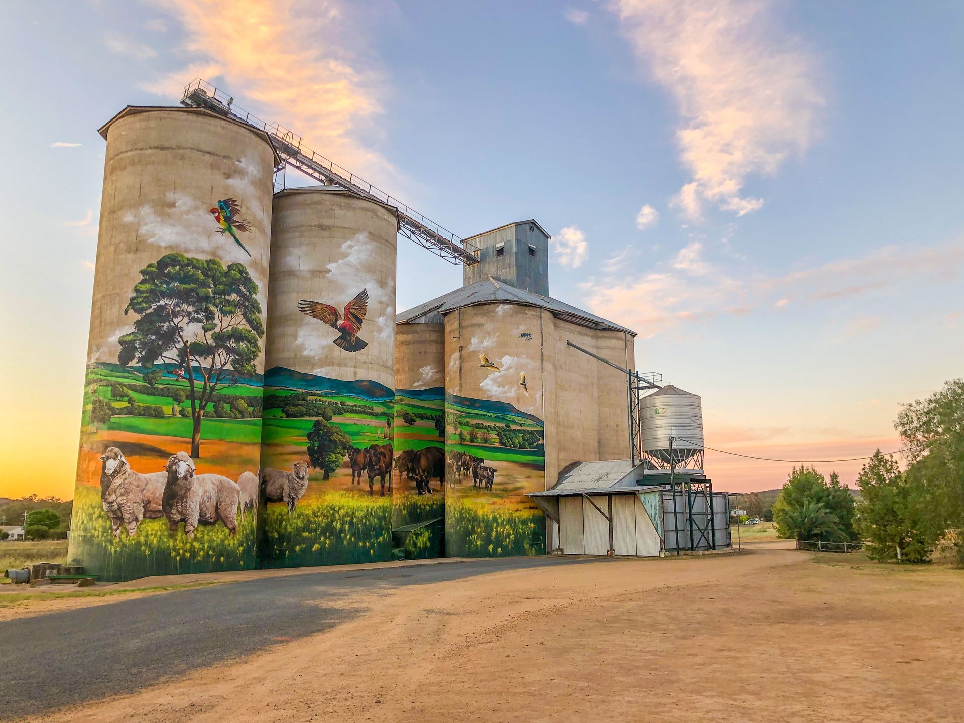 Australian Silo Art Trail, New South Wales Silo Art Trail, Grenfell Silo Art