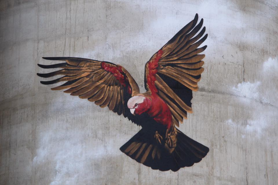 Grenfell Silo Art, Australian Silo Art Trail, Heesco Khosnaran