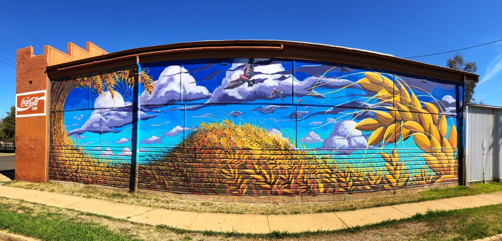 Gulargambone Street Art, Australian Silo Art Trail