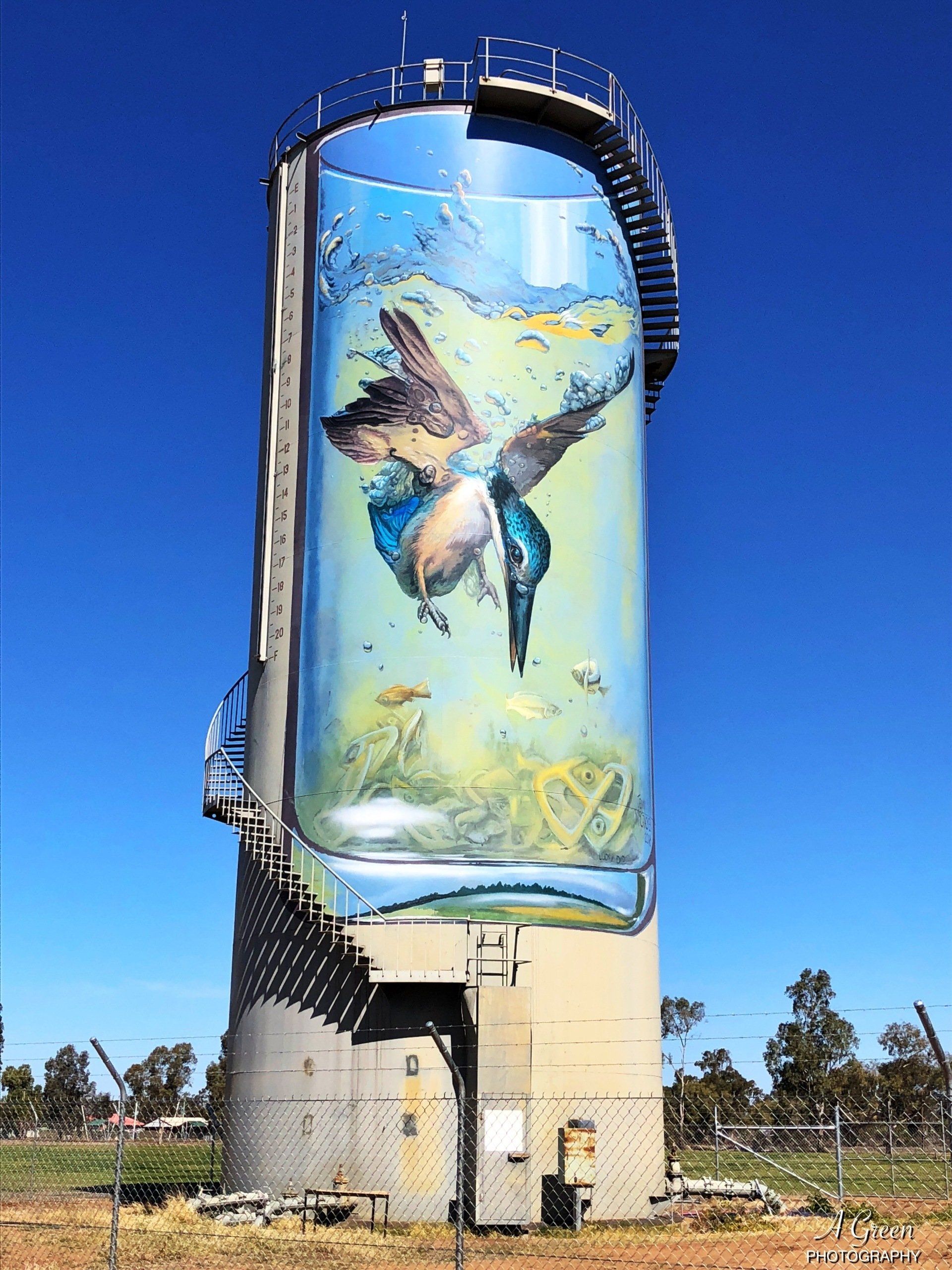 Australian Silo Art Trail, Gulargambone Water Tower, Jenny McCracken Artist