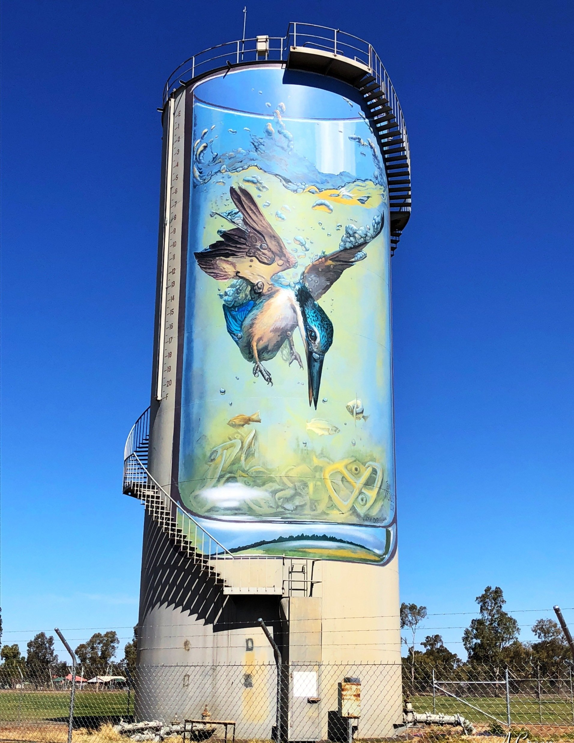 Gulargambone Water Tower Art, Australian Silo Art Trail