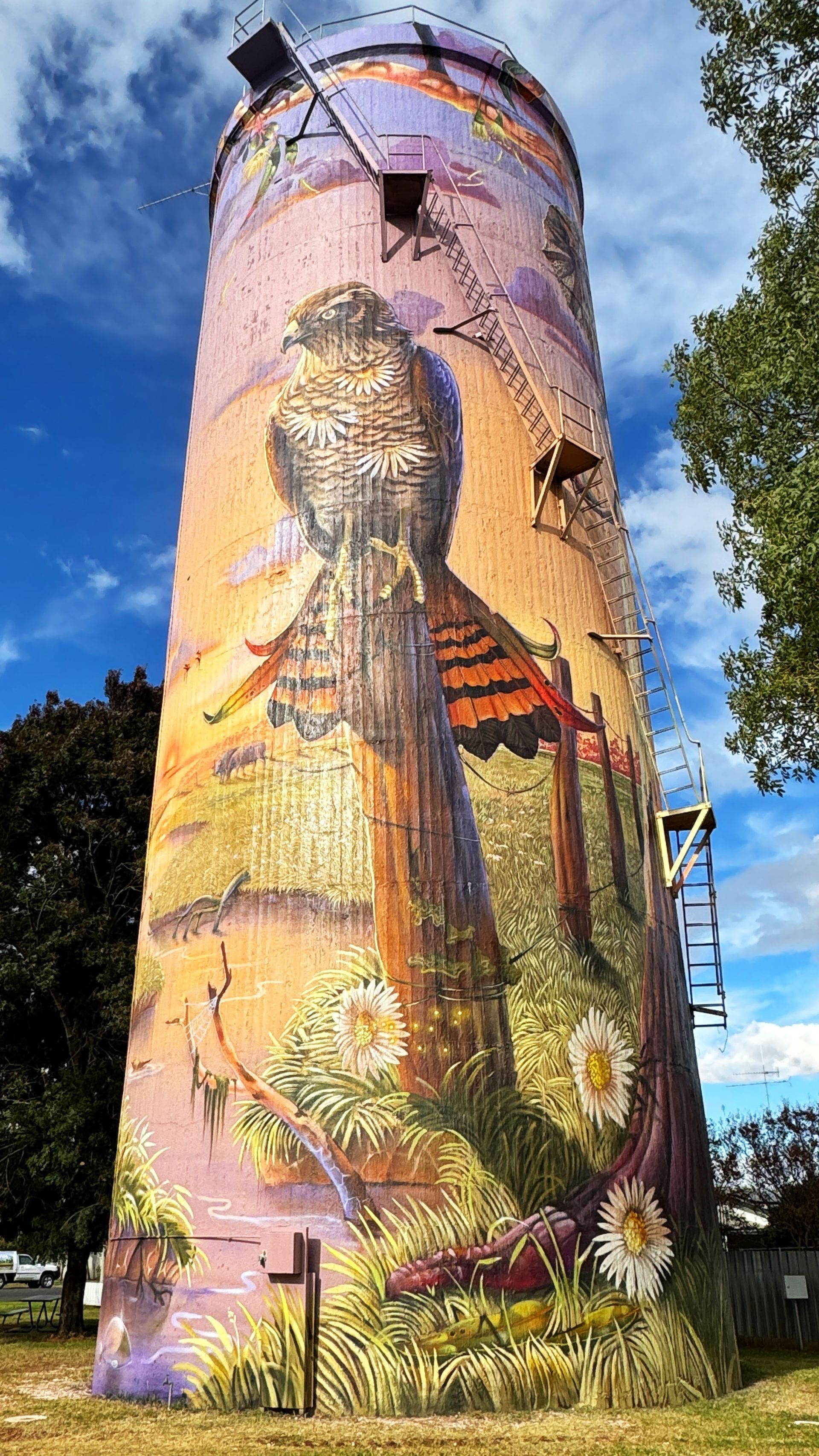 Hillston water  tower, Australian Silo Art Trail