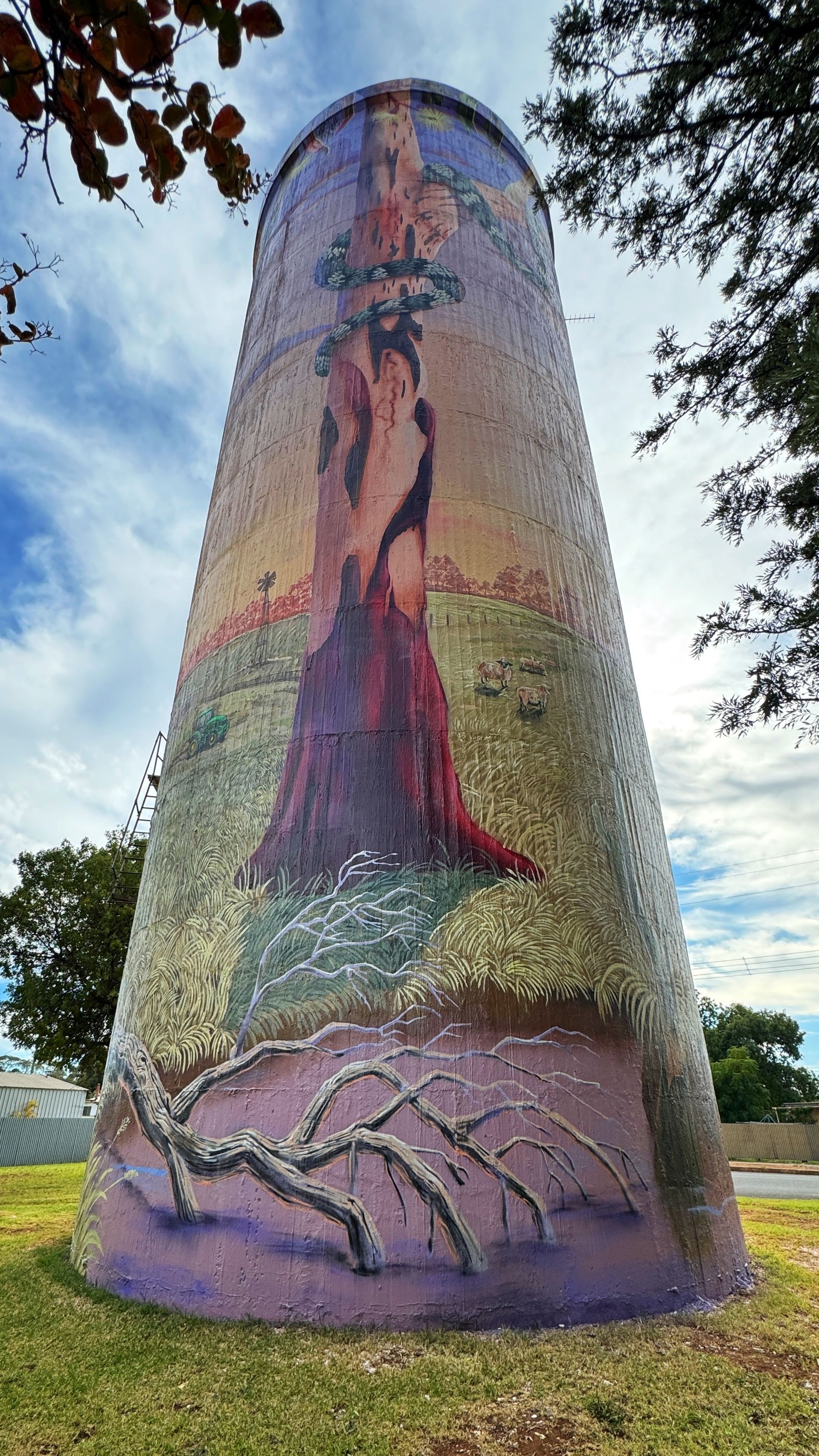 Hillston water  tower, Australian Silo Art Trail