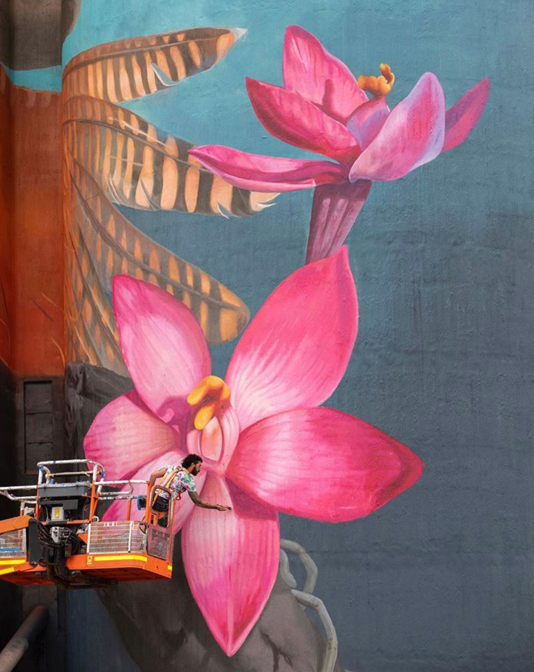 GrainCorp Kaniva Silo Art, Australian Silo Art Trail, David Lee Pereira