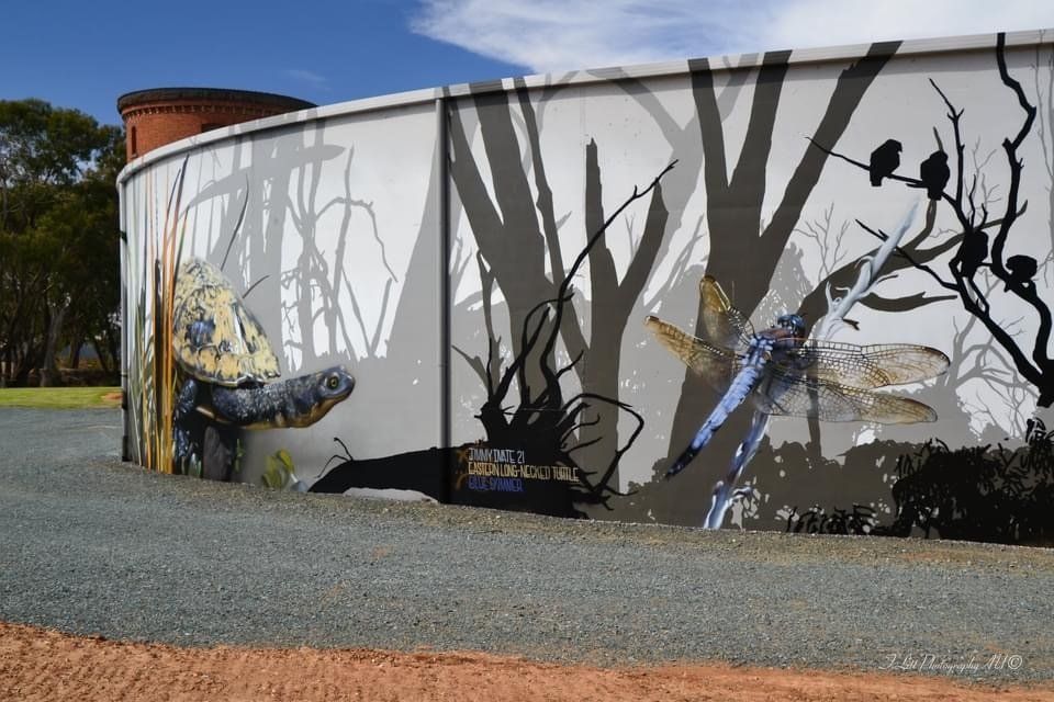 Kyabram Water Tank Art