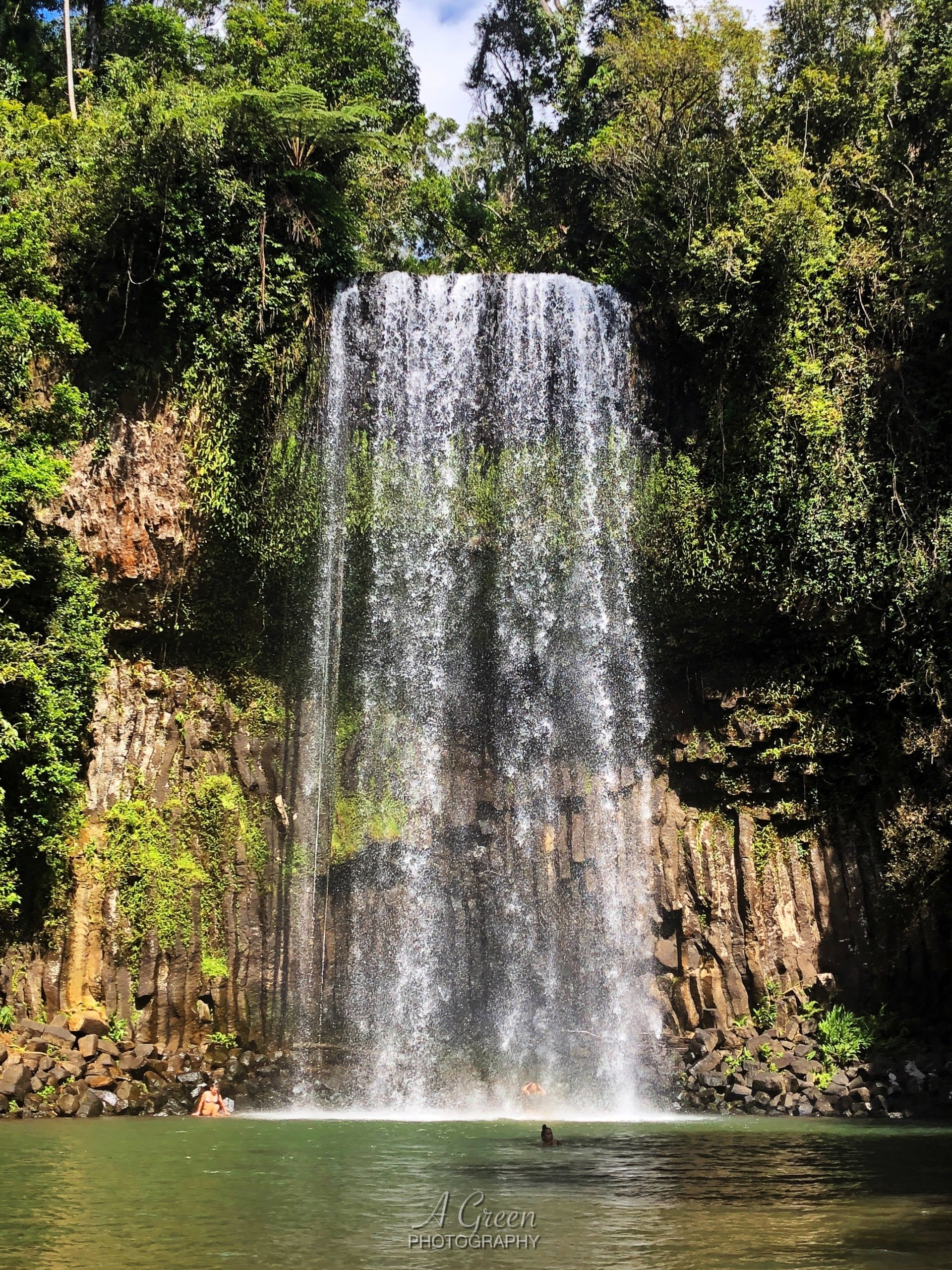Millaa Millaa Falls, Atherton Tablelands Queensland, Queensland Waterfalls, Waterfalls, Great Australian Adventure