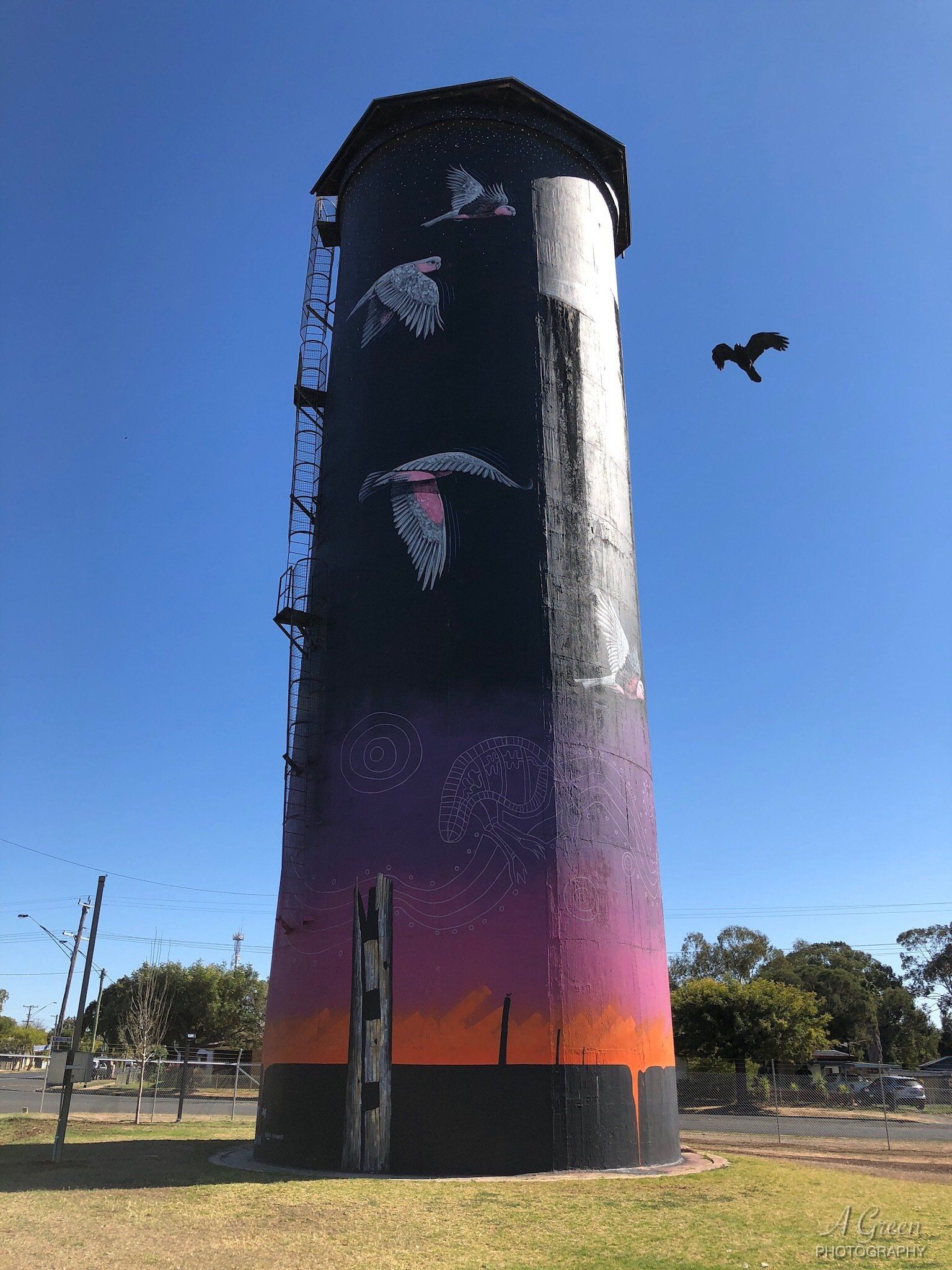 Coonamble Water Tower Art, Australian Silo At Trail, John Murray