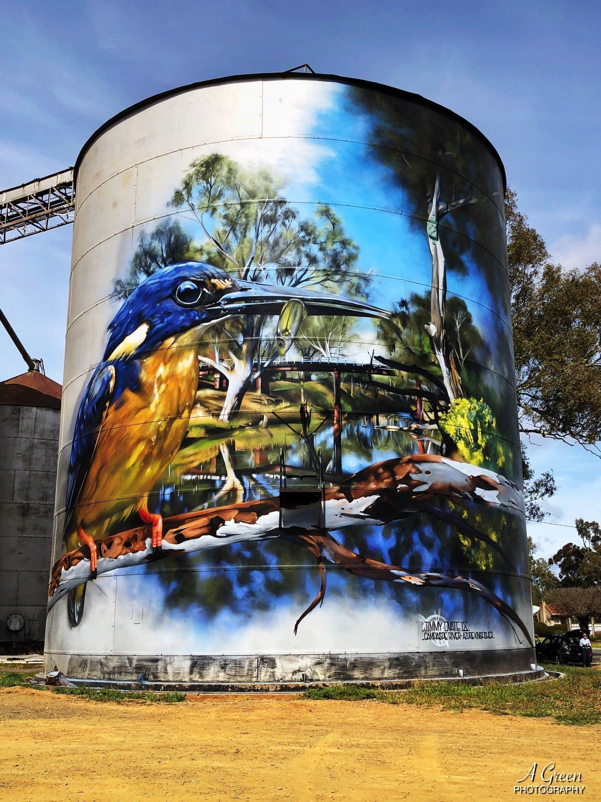 Rochester Silo Art