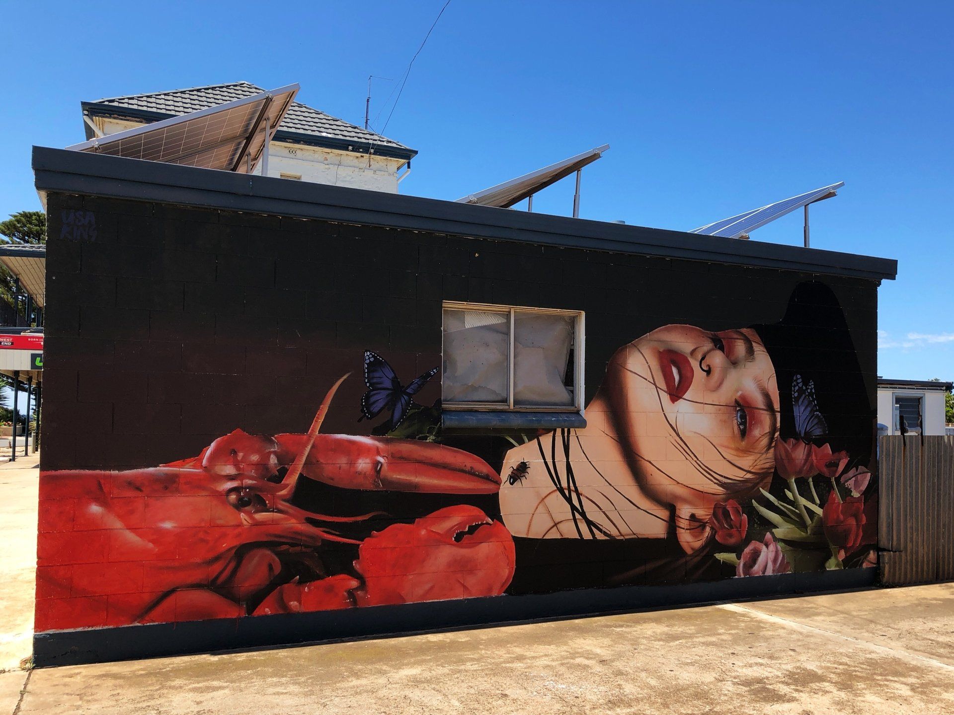 Colour Tumby Street Art, Tumby Bay, Great Australian Adventure