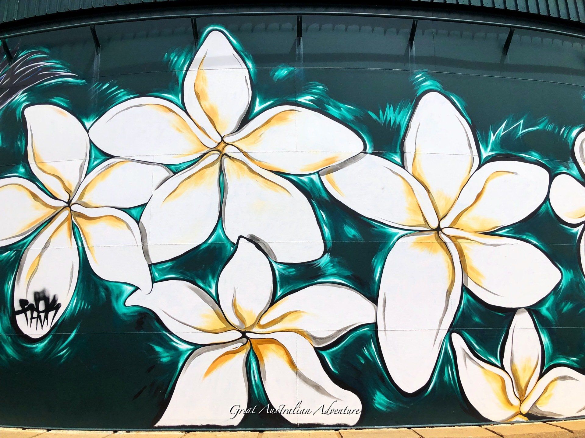 Townsville Water Tank Art, Australian Silo Art Trail