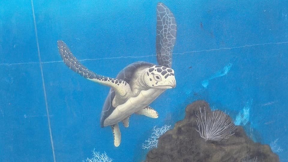 Woolgoolga Water Tower Art