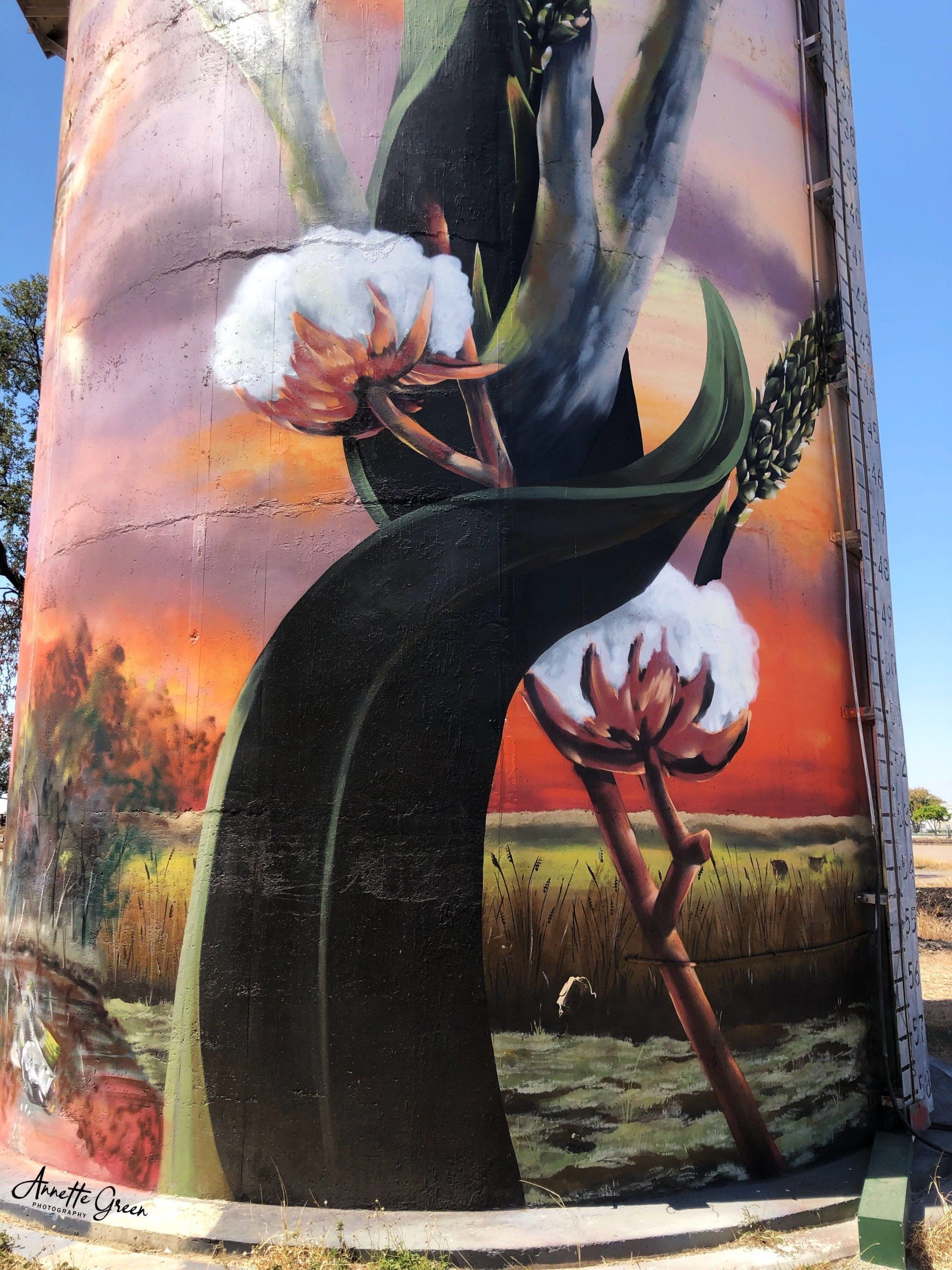 Moura Water Tower Art, Australian Silo Art Trail