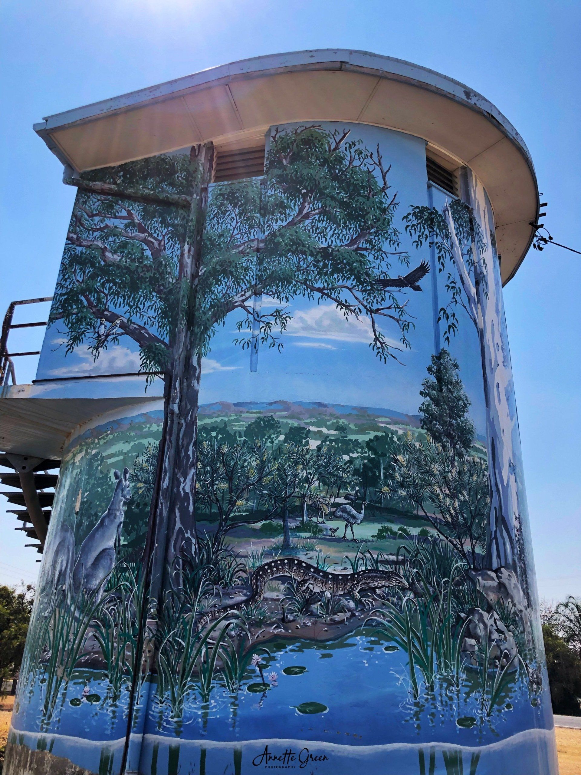 Mundubbera Pump Station Art, Australian Silo Art Trail