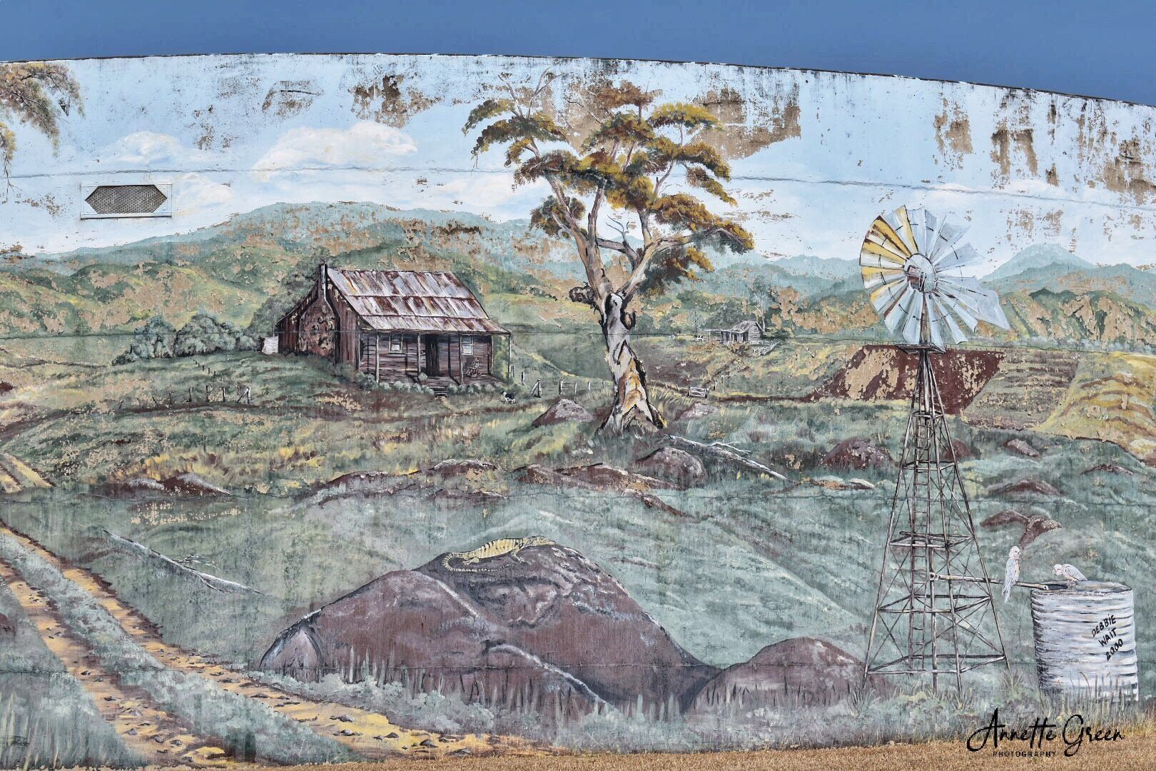 Monto Water Tank Art, Australian Silo Art Trail