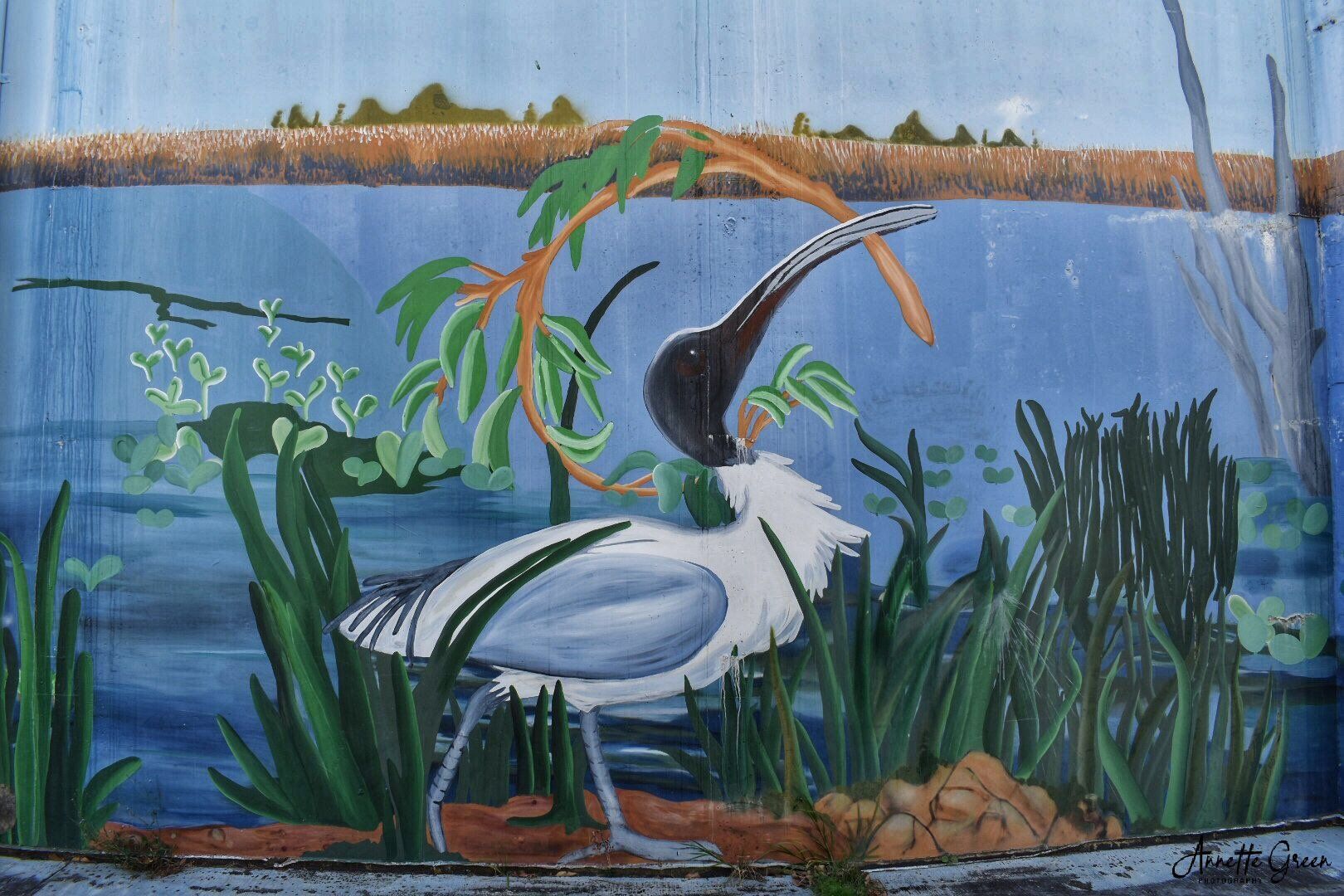 Rothwell Water Tank Art, Australian Silo Art Trail, Queensland