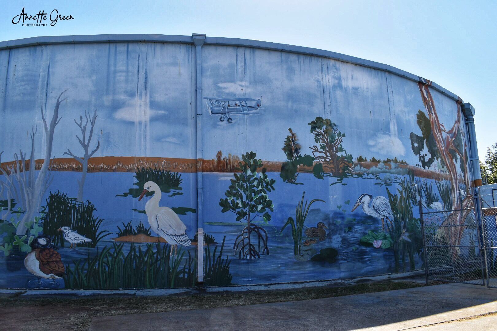 Rothwell Water Tank Art, Australian Silo Art Trail, Queensland
