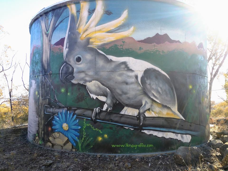 Australian Silo Art Trail, Tamworth Water Tank Art