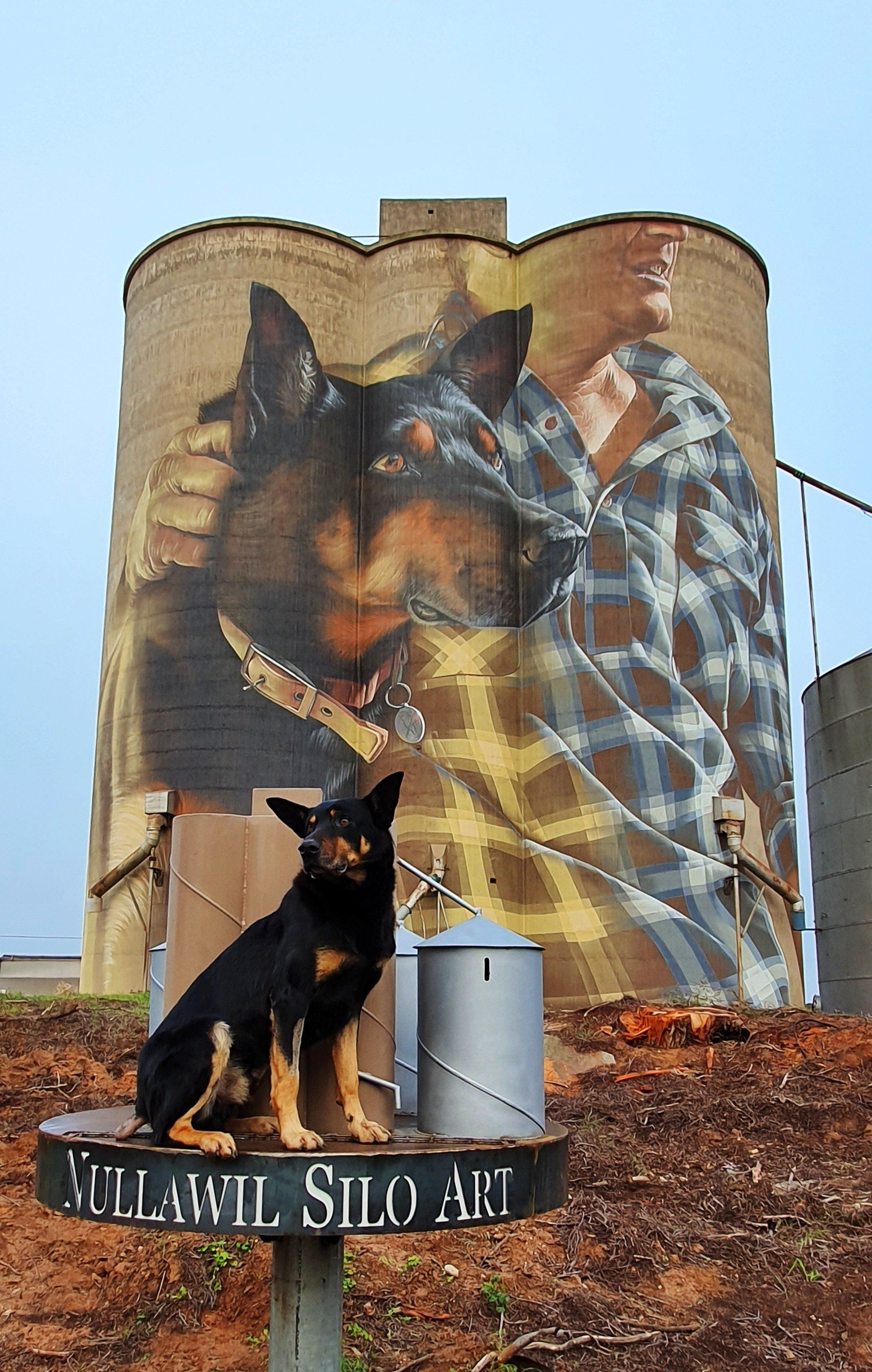 Nullawil Silo Art, Australian Silo Art Trail, Smug