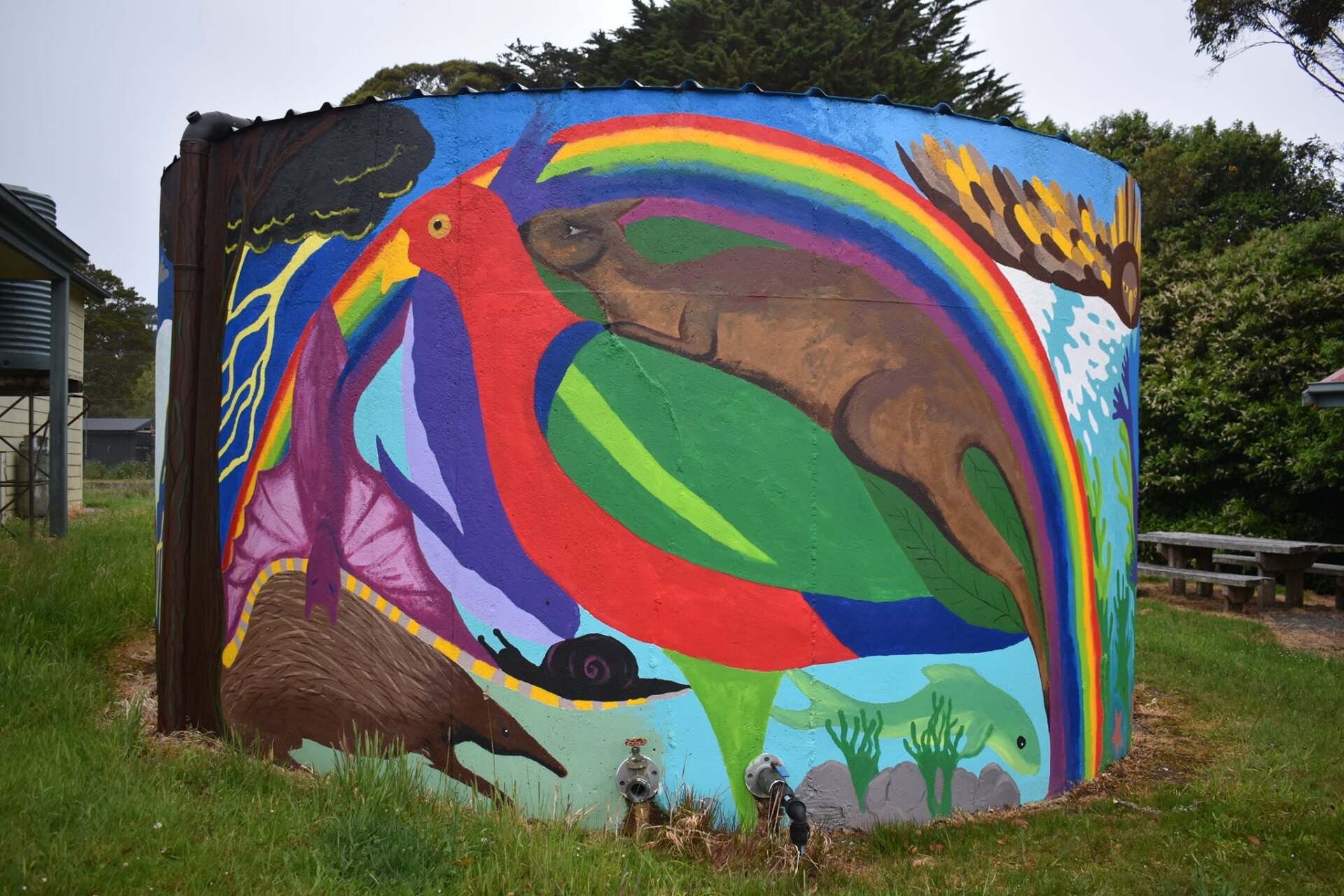 Lavers Hill Water Tank Art Australian Silo Art Trail