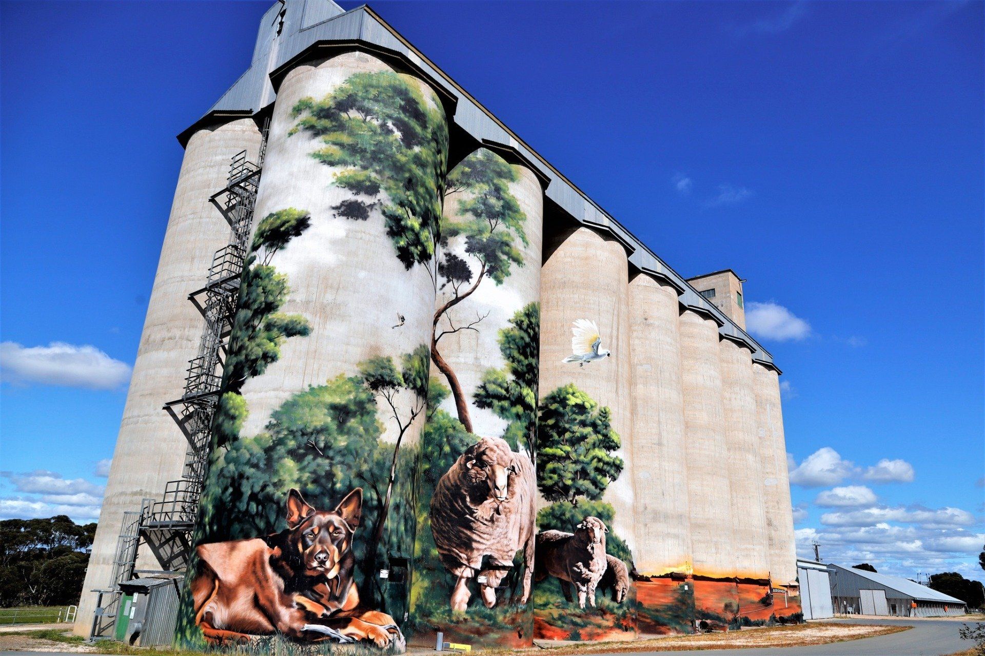 Karoonda, Australia Silo Art Trail, Silo Art, Water Tower Art