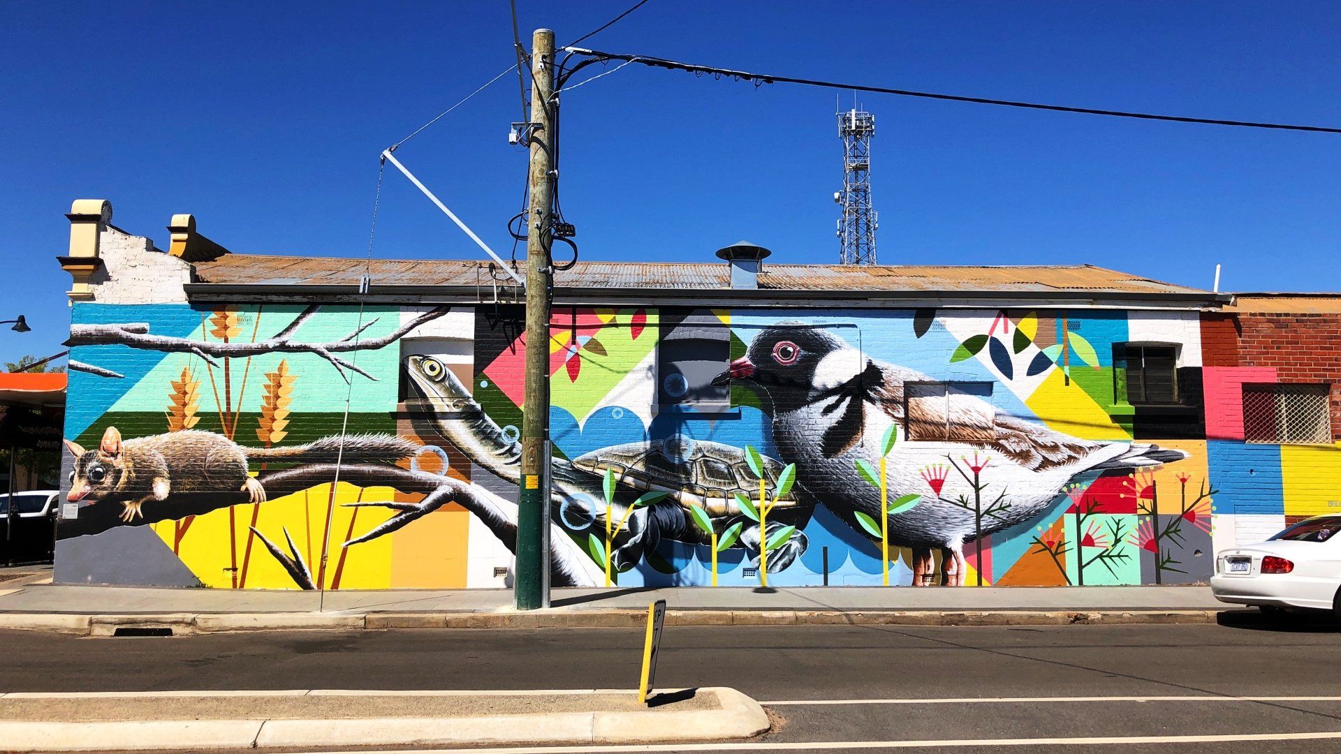 Katanning Street Art, Australian Silo Art Trail