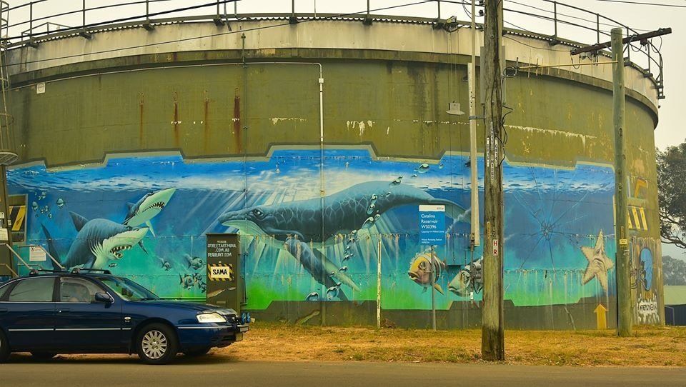 Katoomba Water Tank Art, Australian Silo Art