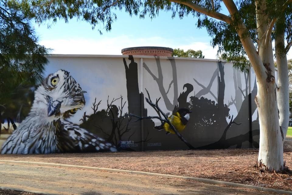 Kyabram Water Tank Art, Australian Silo Art Trail