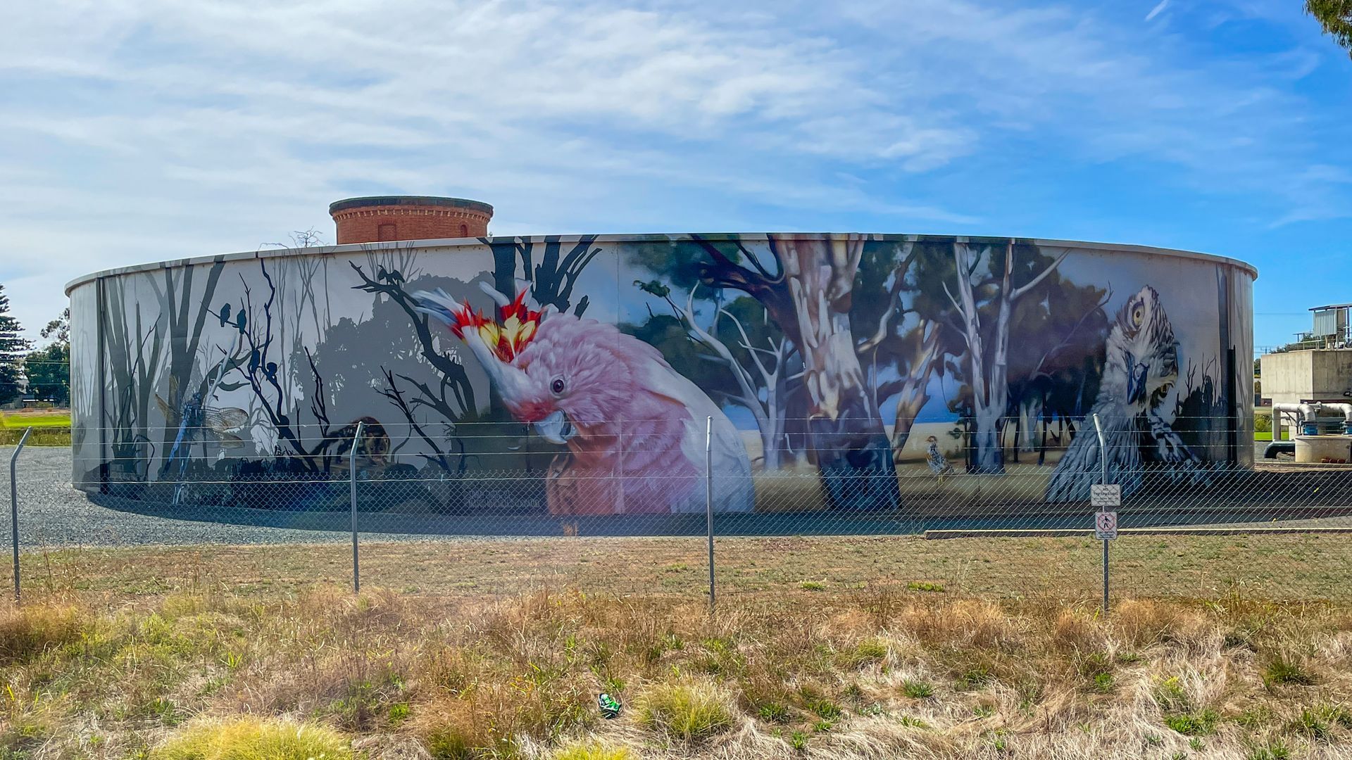 Kyabram Water Tank Art, Australian Silo Art Trail