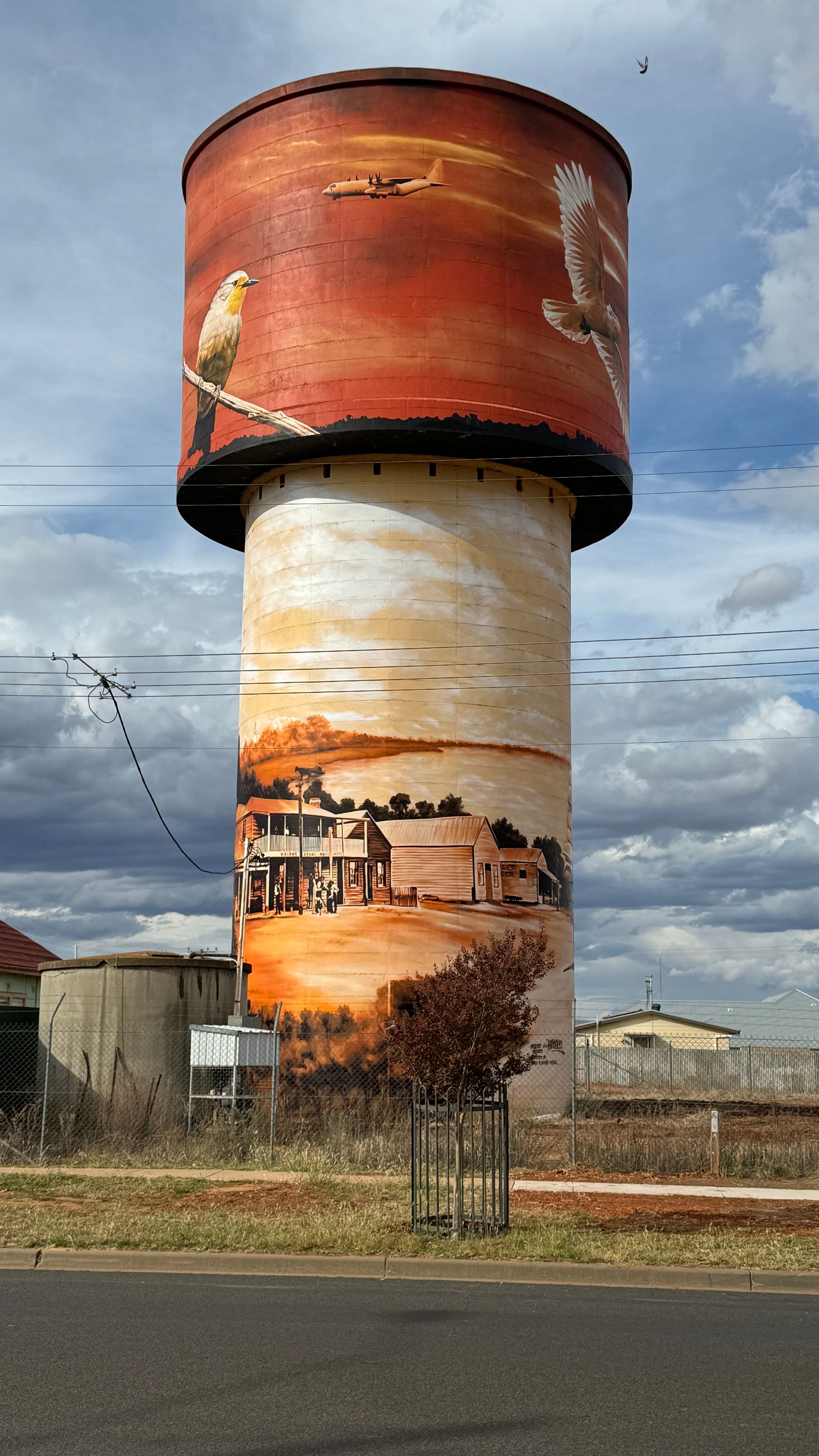 Lake Cargelligo Water Tower Art, Australian Silo Art Trail