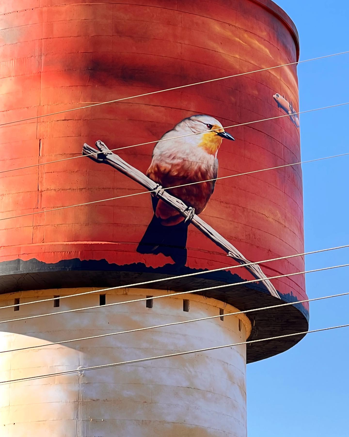 Lake Cargelligo Water Tower Art, Australian Silo Art Trail