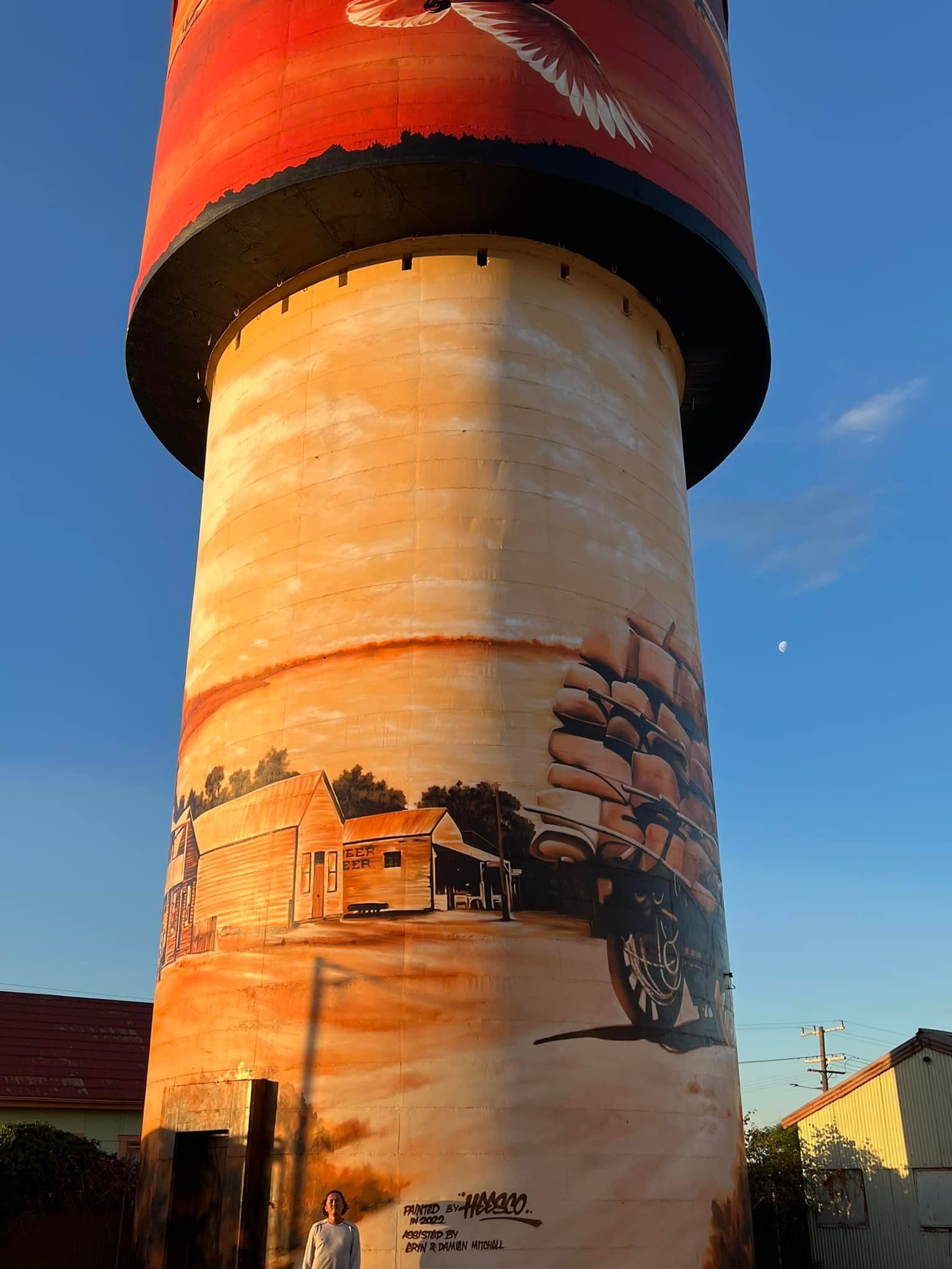 Lake Cargelligo Water Tower Art, Australian Silo Art Trail