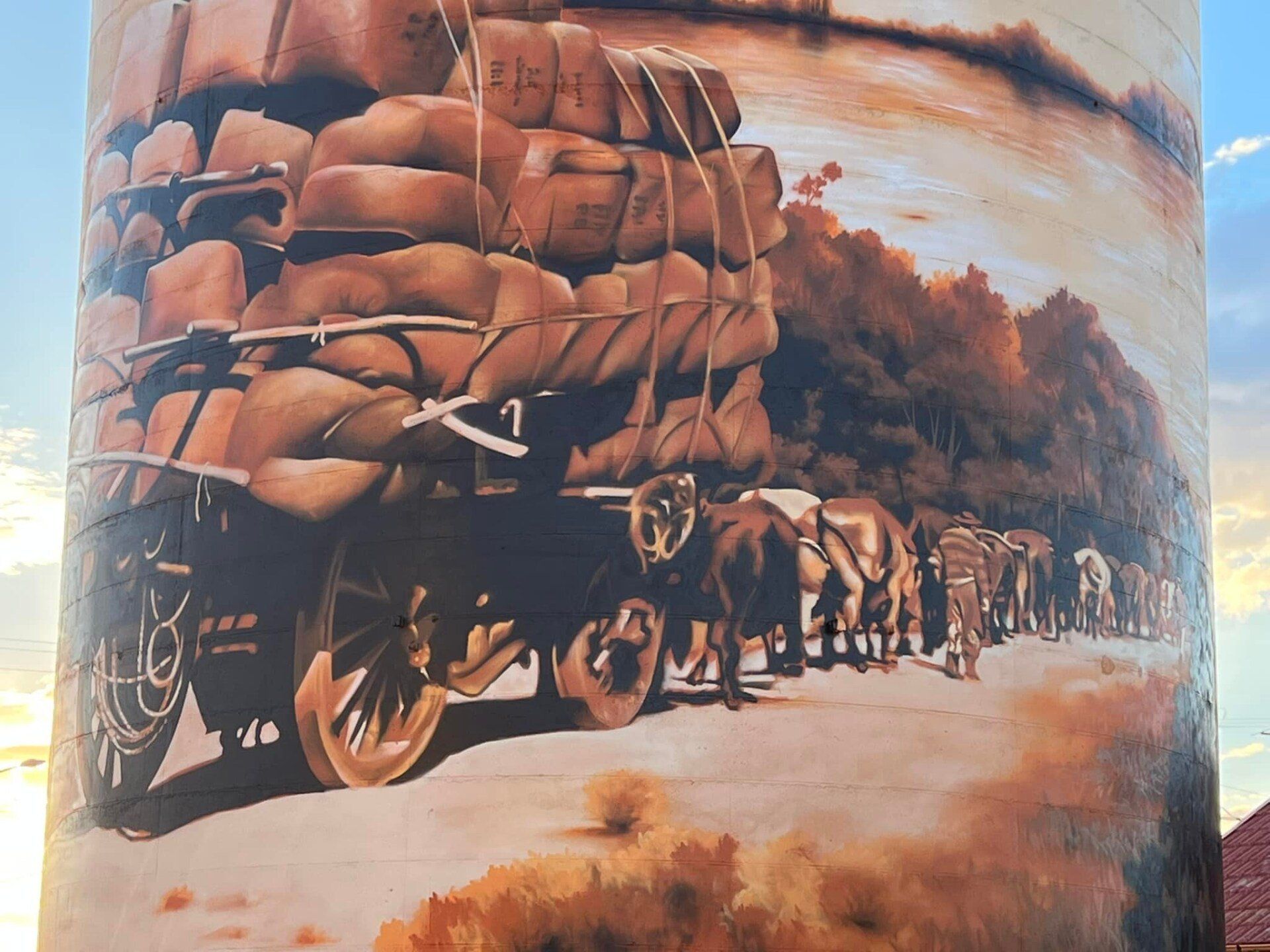 Lake Cargelligo Water Tower Art, Australian Silo Art Trail