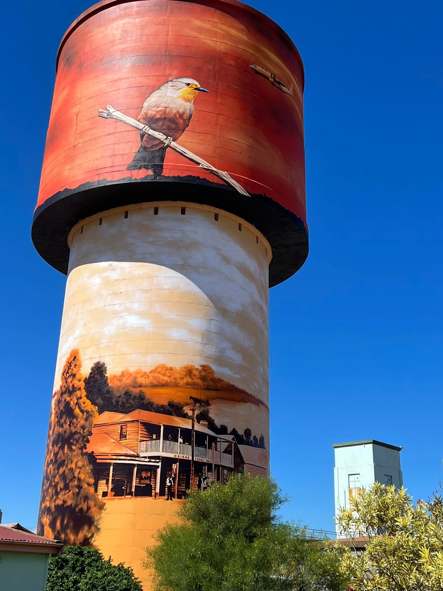 Lake Cargelligo Water Tower Art, Australian Silo Art Trail