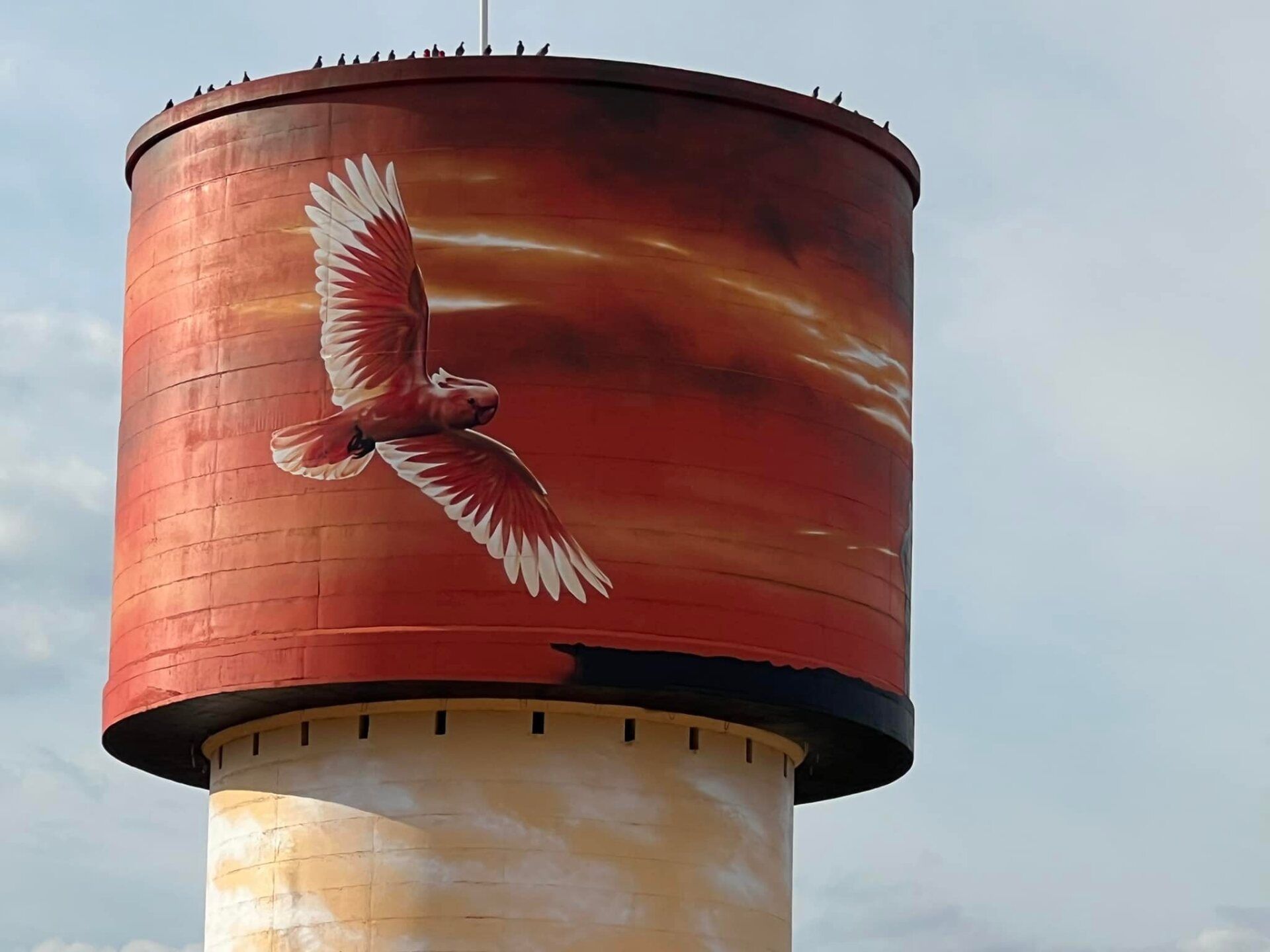 Lake Cargelligo Water Tower Art