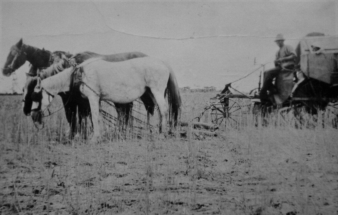 Pingrup's First Mail Man, Keith Devenish, Australian Silo Art Trail