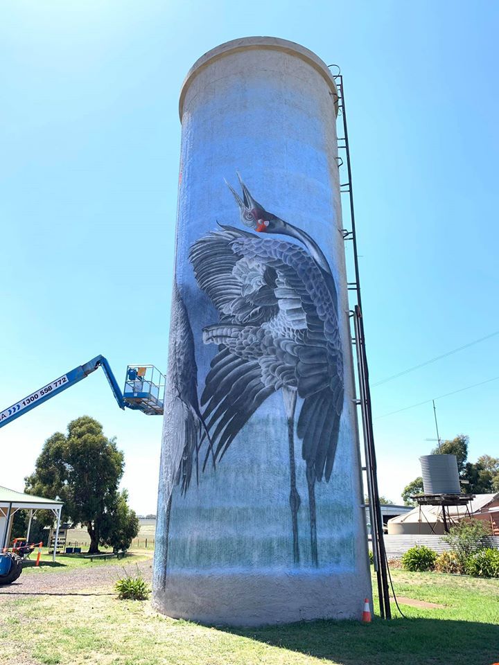 Lismore  Water Tower Art, Australian Silo Art Trail, Scott Nagy